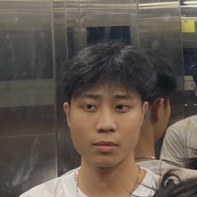 nguyễn trần việt anh