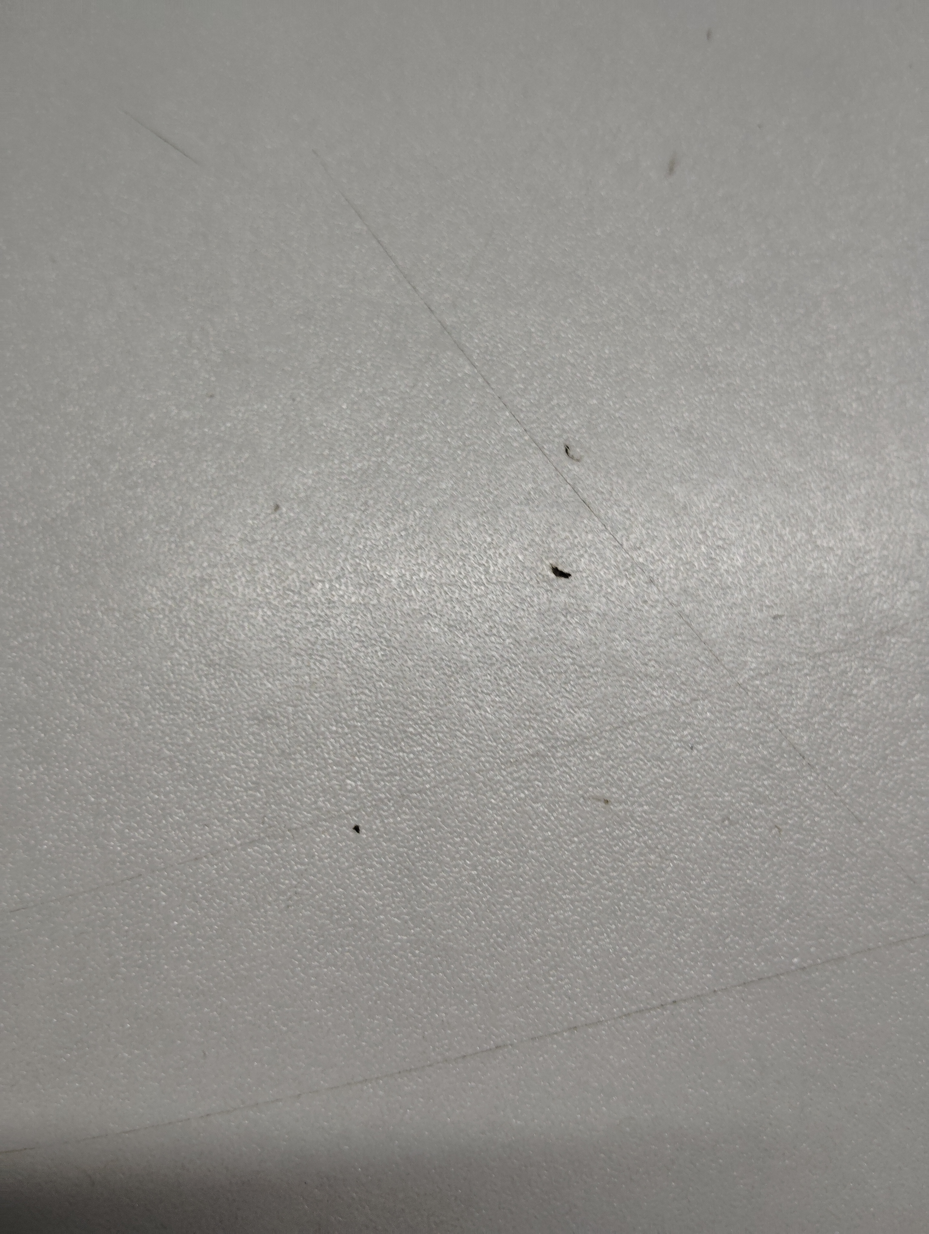 MAI THI THANH THUY（梅氏青翠）