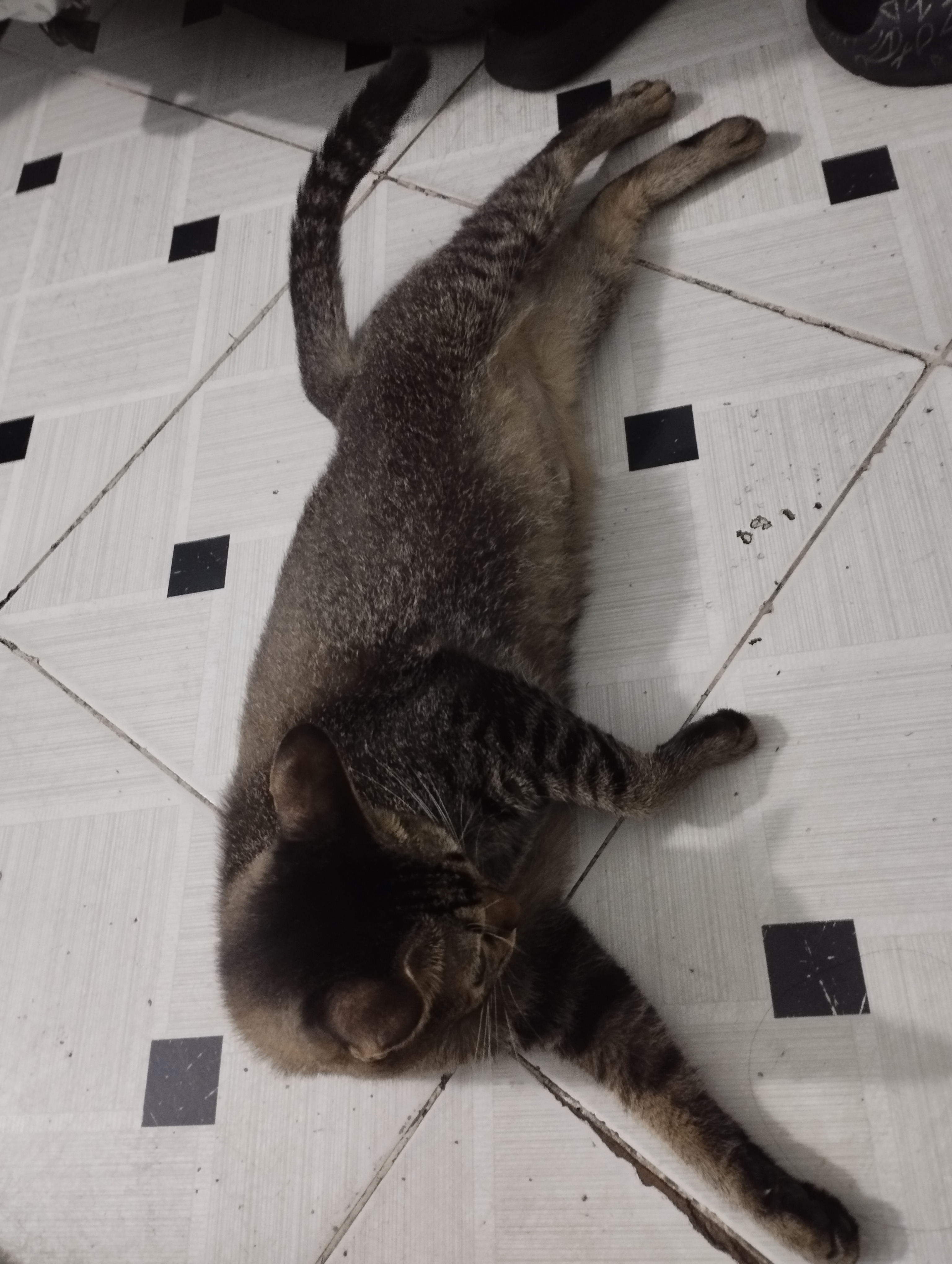 NGUYỄN THỊ DIỆU HIỀN 