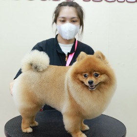 NGUYỄN THỊ HỒNG