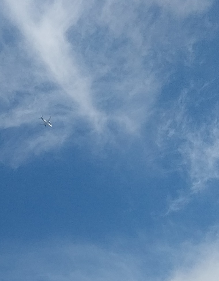 Nghiêm Nguyễn Minh Vy