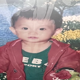 Trần Lê Hồng Phúc