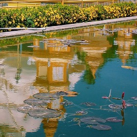 Trần võ chí đức