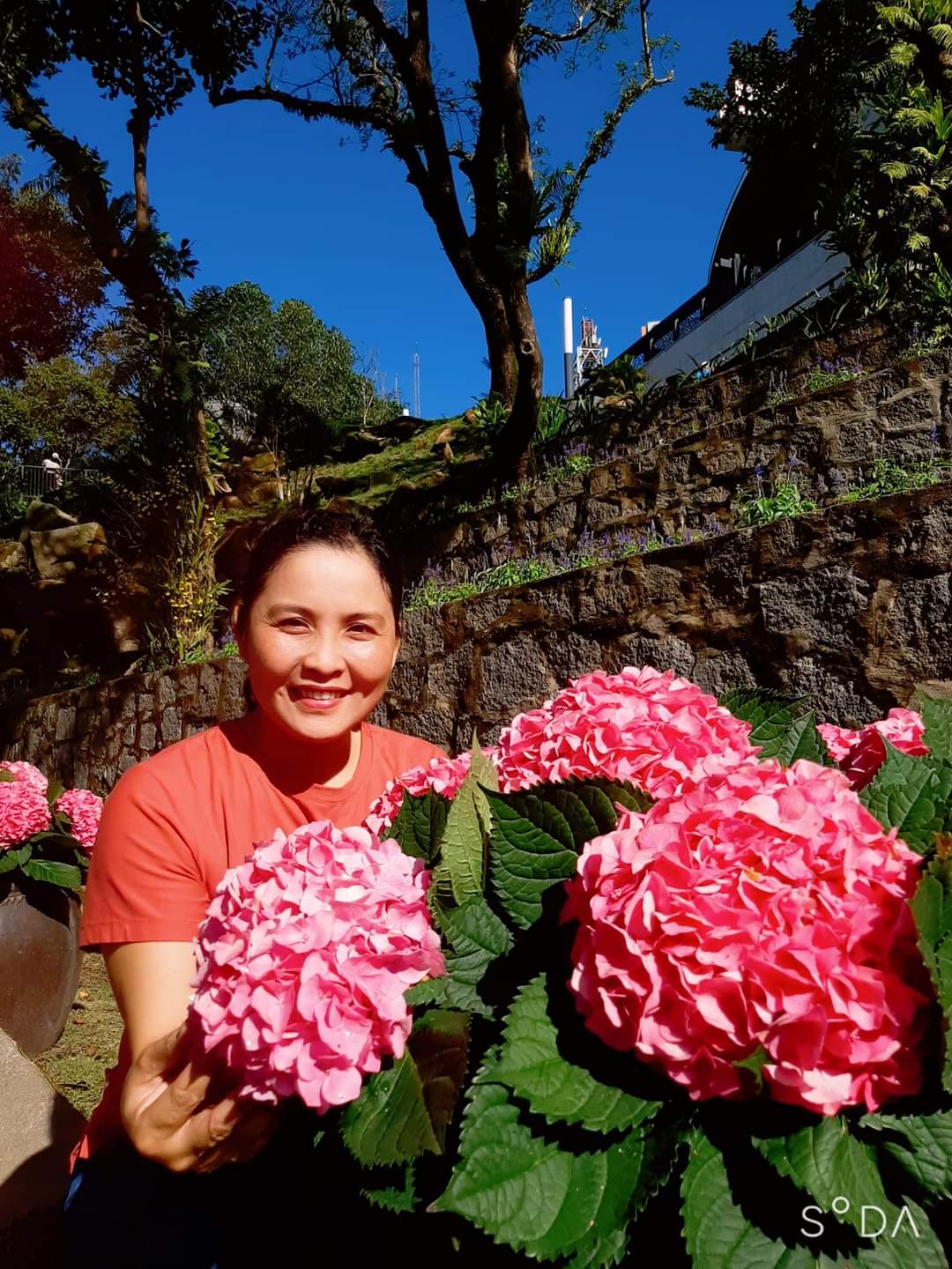 Dương Thị Hạnh