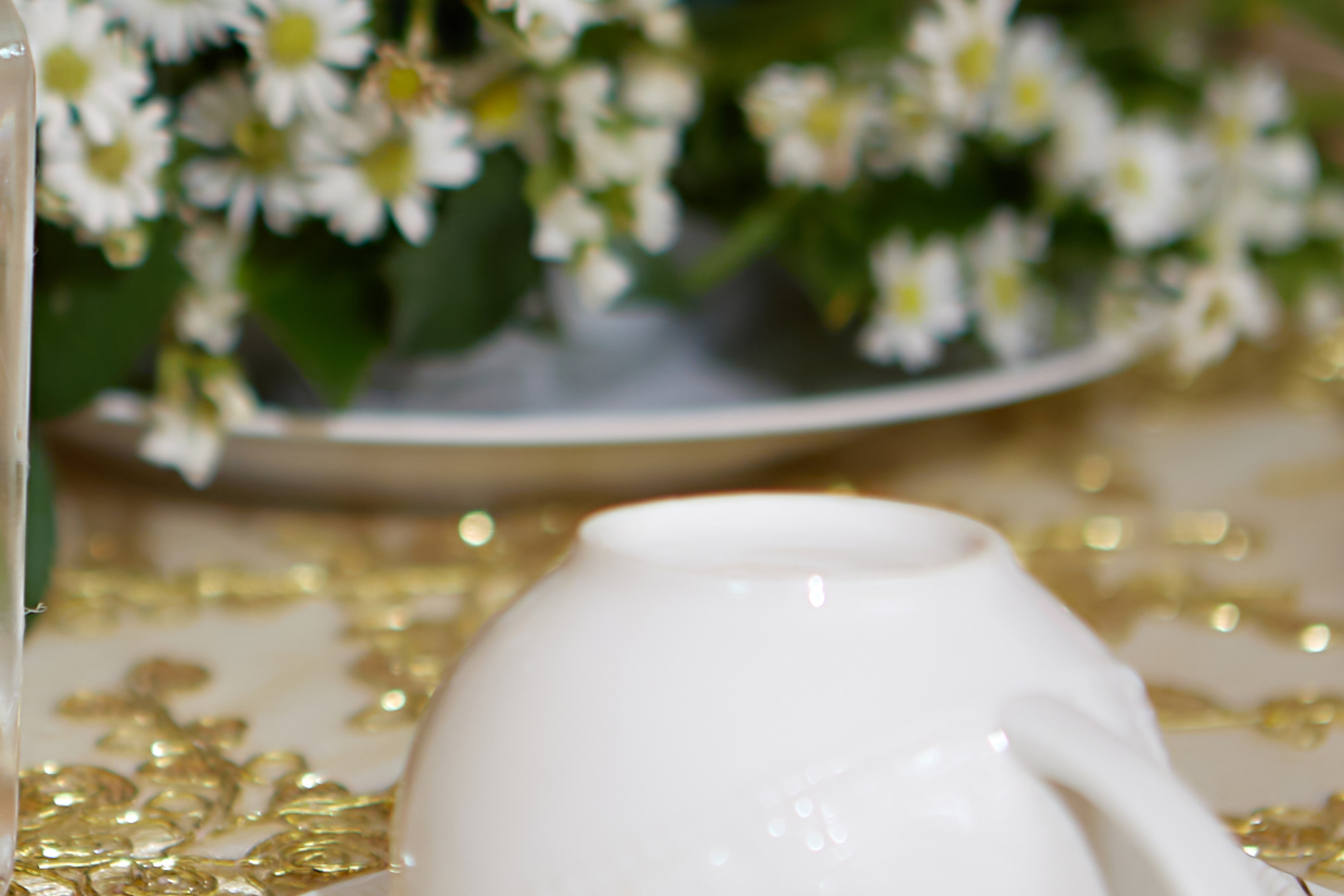 Võ Nguyễn Thiên Kim