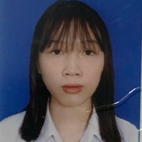 tô bảo triều