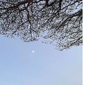 Nguyễn thụy thúy loan