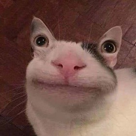 Nguyen Minh Phat Tai