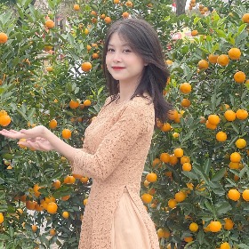 Lê thị hoài thuý