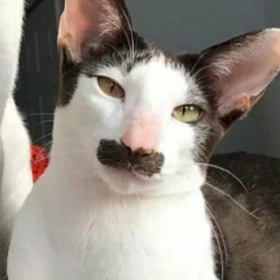 TRẦN PHƯỚC THUẬN 