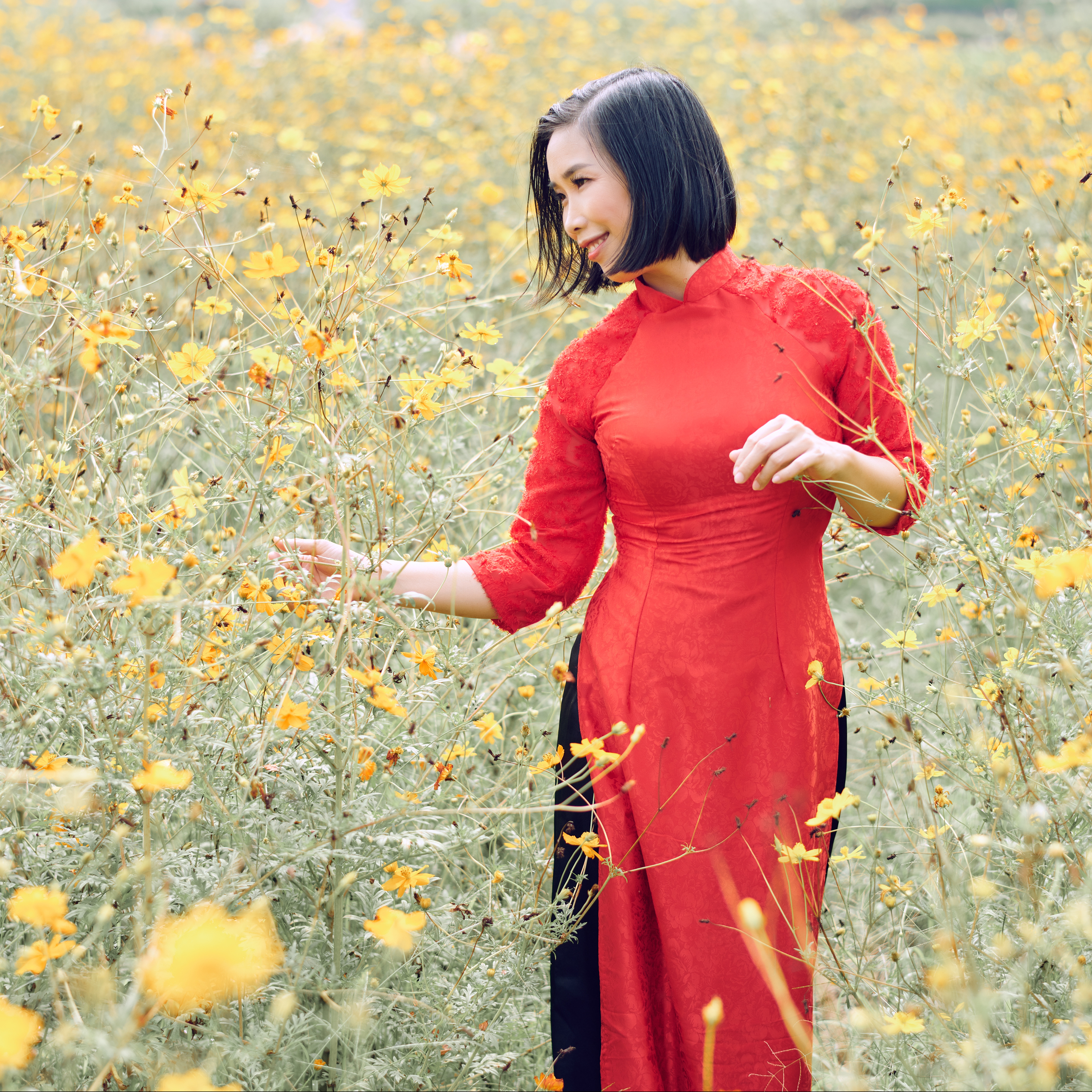 Nguyễn Thị thanh hòa