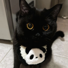 ĐẶNG THỊ THU PHƯƠNG