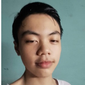 Bùi Trần Lê Nguyễn