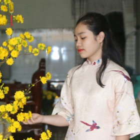 Nguyễn Đình Như Ngọc