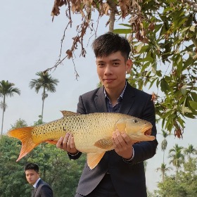 Đỗ Việt Đức