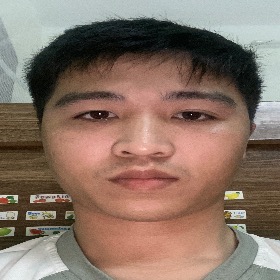 Trần mạnh nam