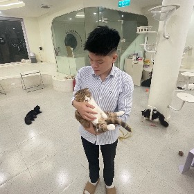 Đinh Trường An