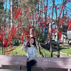 TRẦN THỊ HỒNG THU