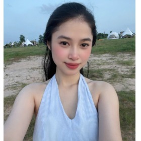 Đỗ mỹ anh